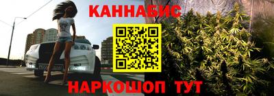 mdpv Краснознаменск