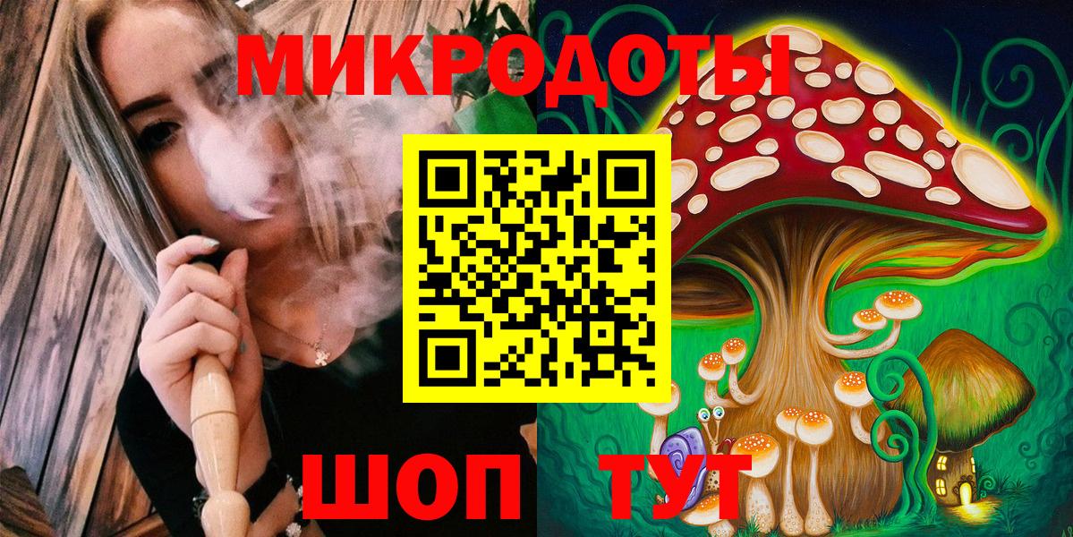 Звенигород  где найти   Вход с VPN  Псилоцибиновые грибы Psilocybe 